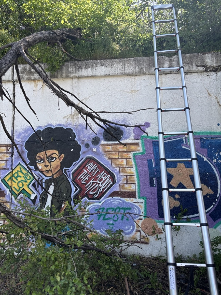 Community mural at Bronzeville field site